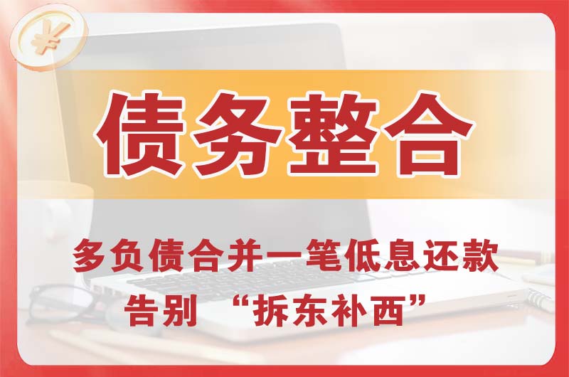 新密债务整合