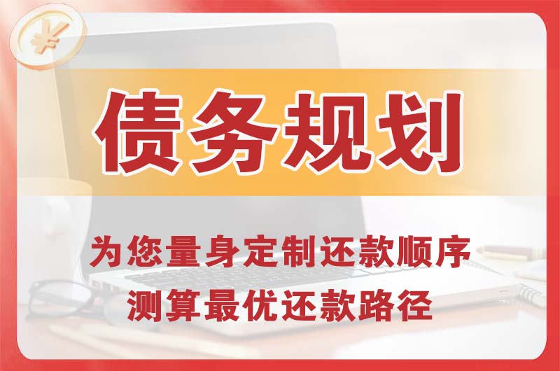 新密债务规划